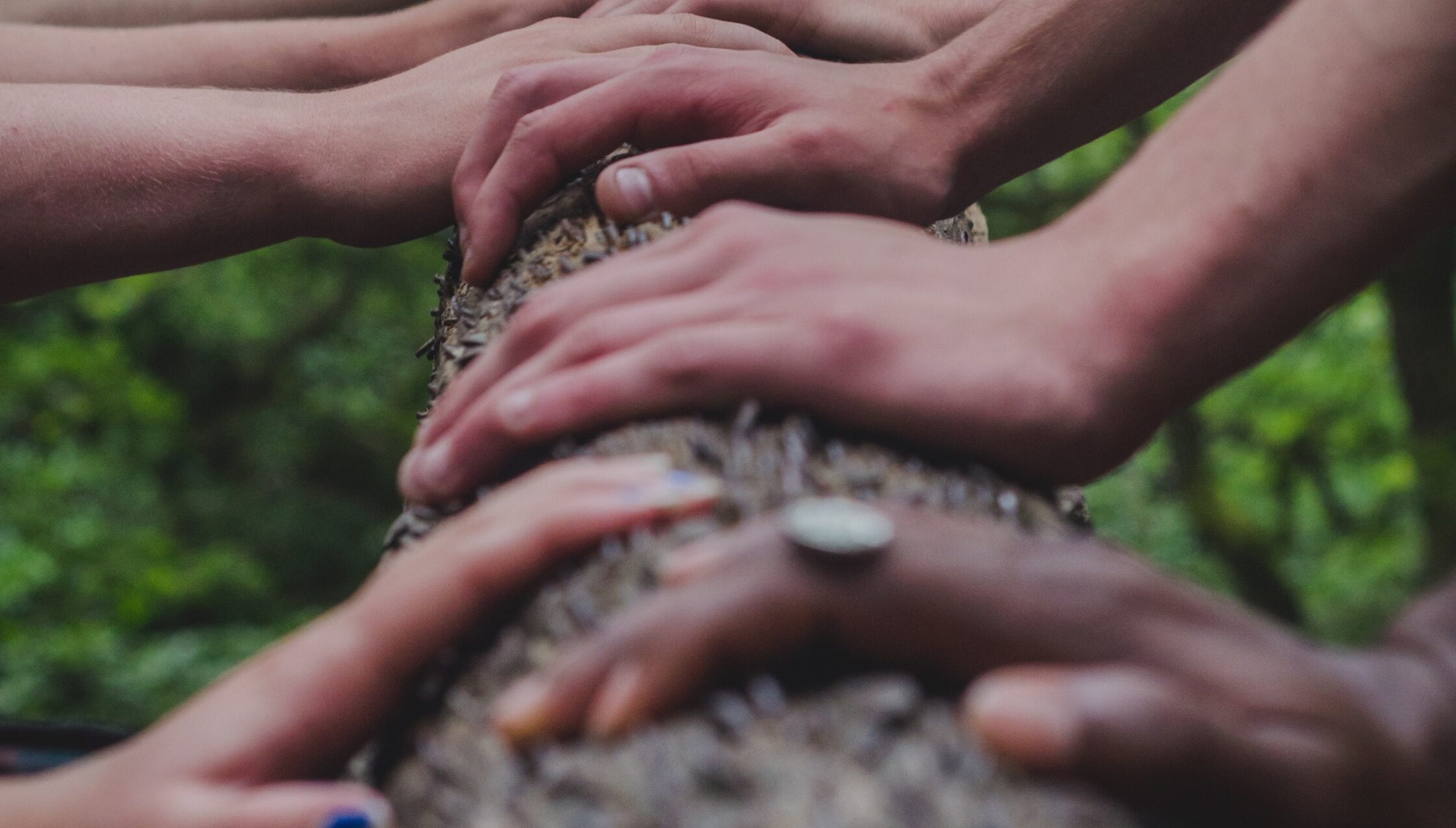 CEP CTA Partner up 2520