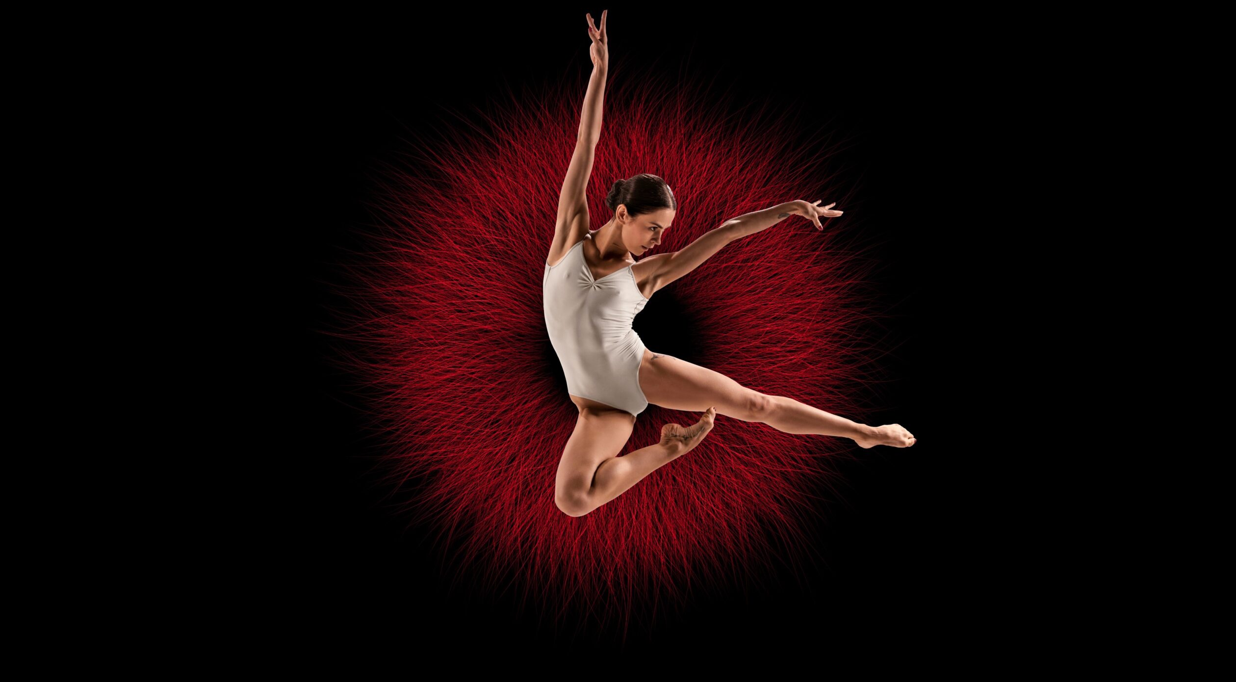 CEP Hero What We Offer LR