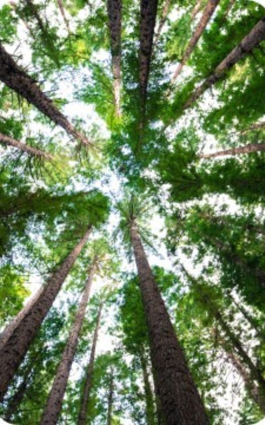 Header Core of wellbeing PLACEHOLDER